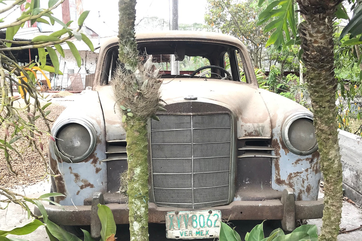 Mexico, Rancho San Felipe, José De Gasperin