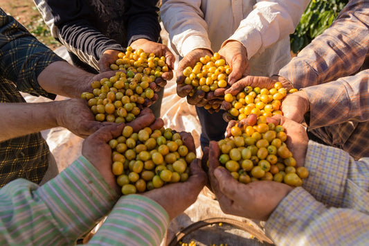 Brasilien, Capricornio