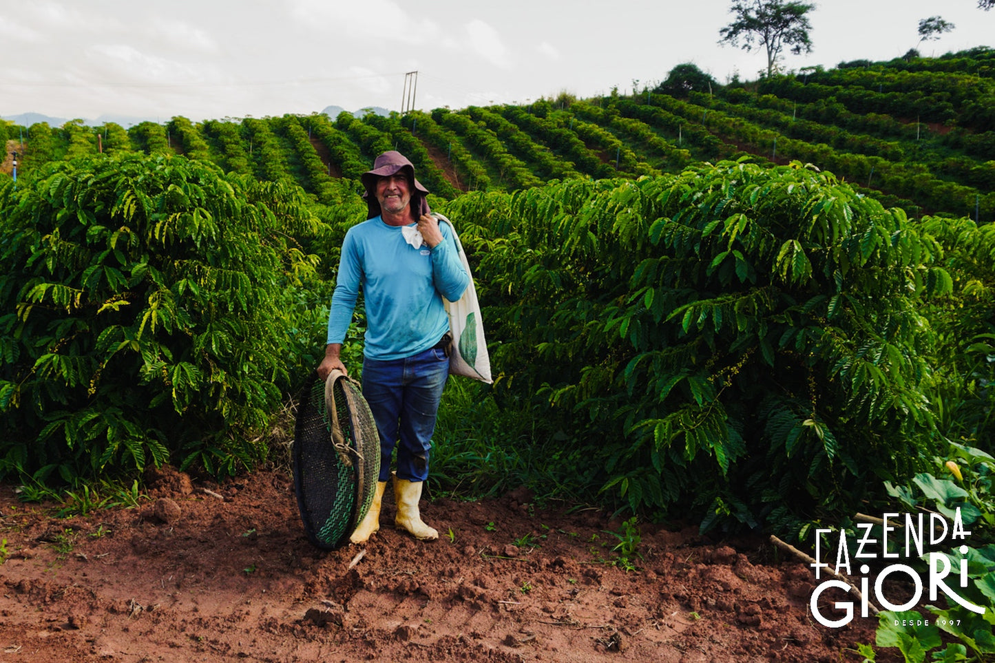 Brasilien, Fazenda Giori