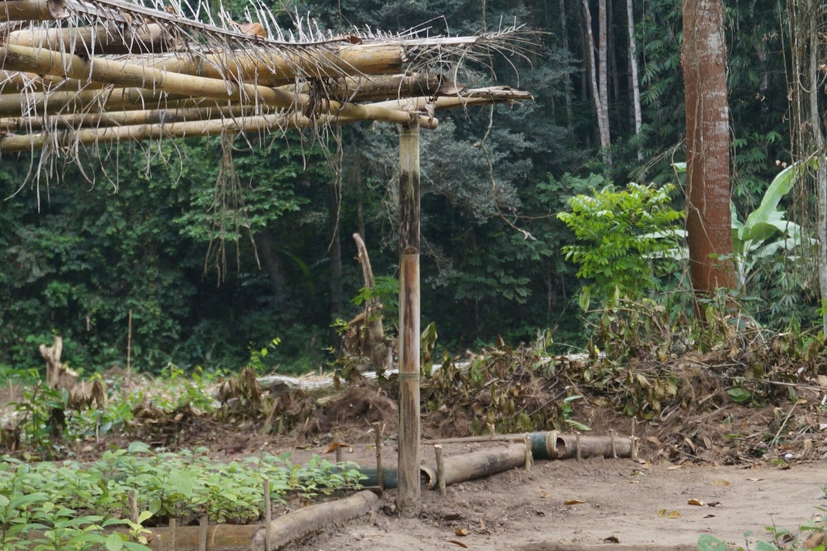 DR Congo, Lukula, Luki Mvuka