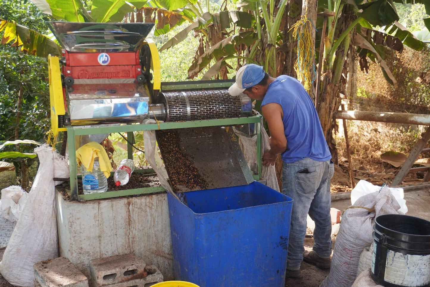 penonome_coffeedepulper_kiva_estate