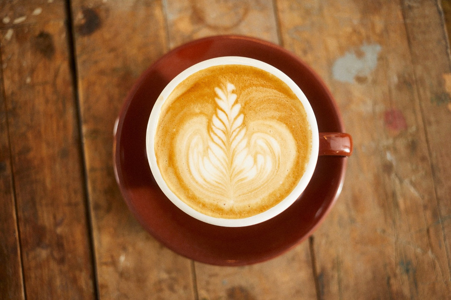 Röstlabor Cappuccinotassen braun
