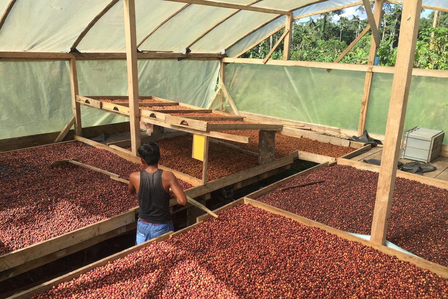 Ecuador, MasadiCoffee, Christian Saltos Morales