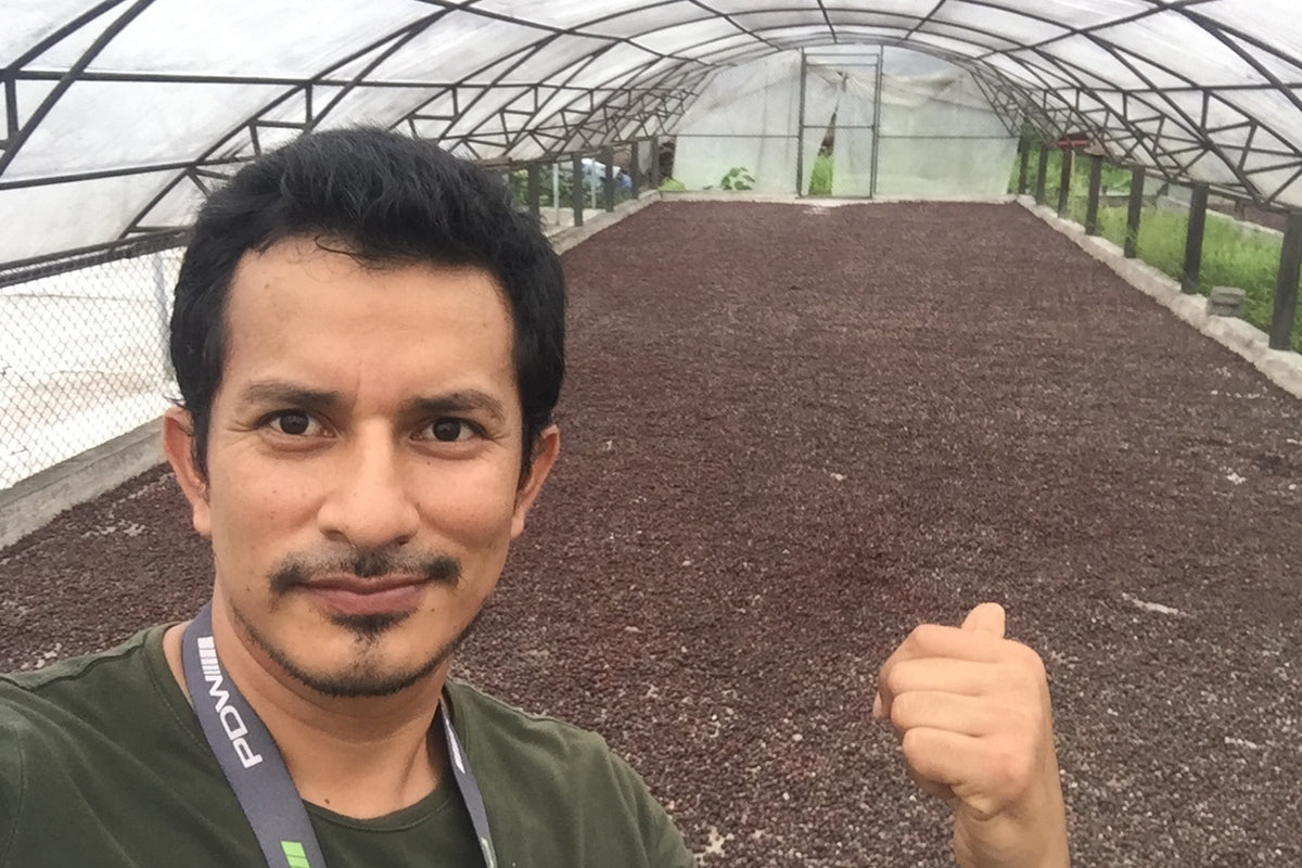 Équateur, MasadiCoffee, Christian Saltos Morales