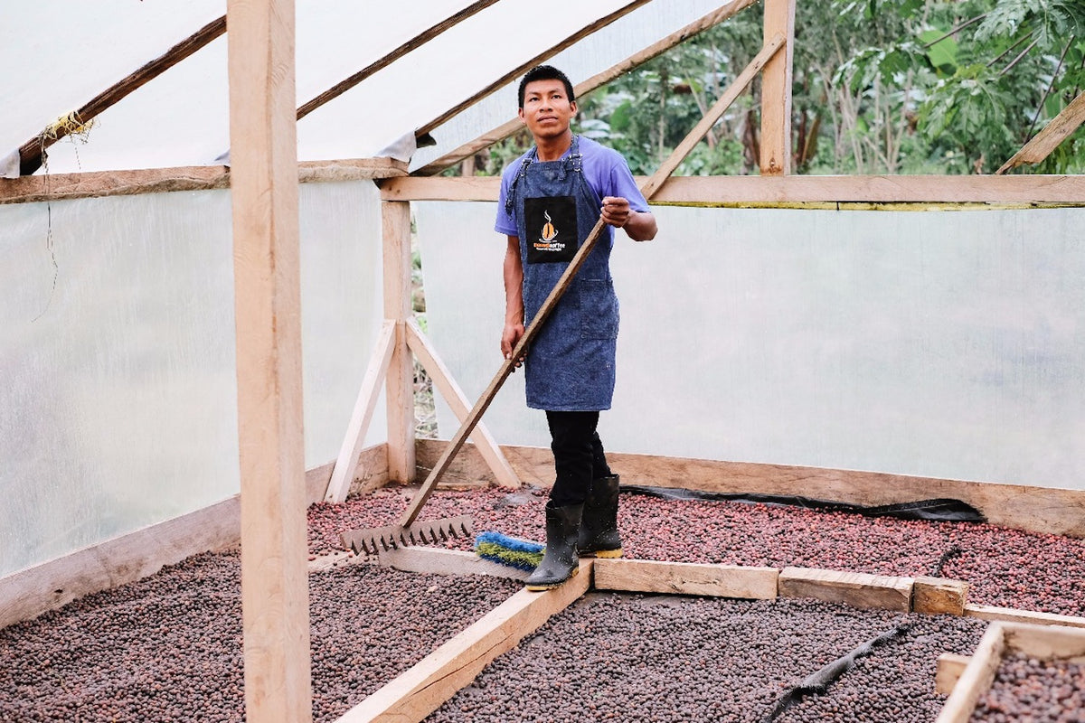 Équateur, MasadiCoffee, Christian Saltos Morales