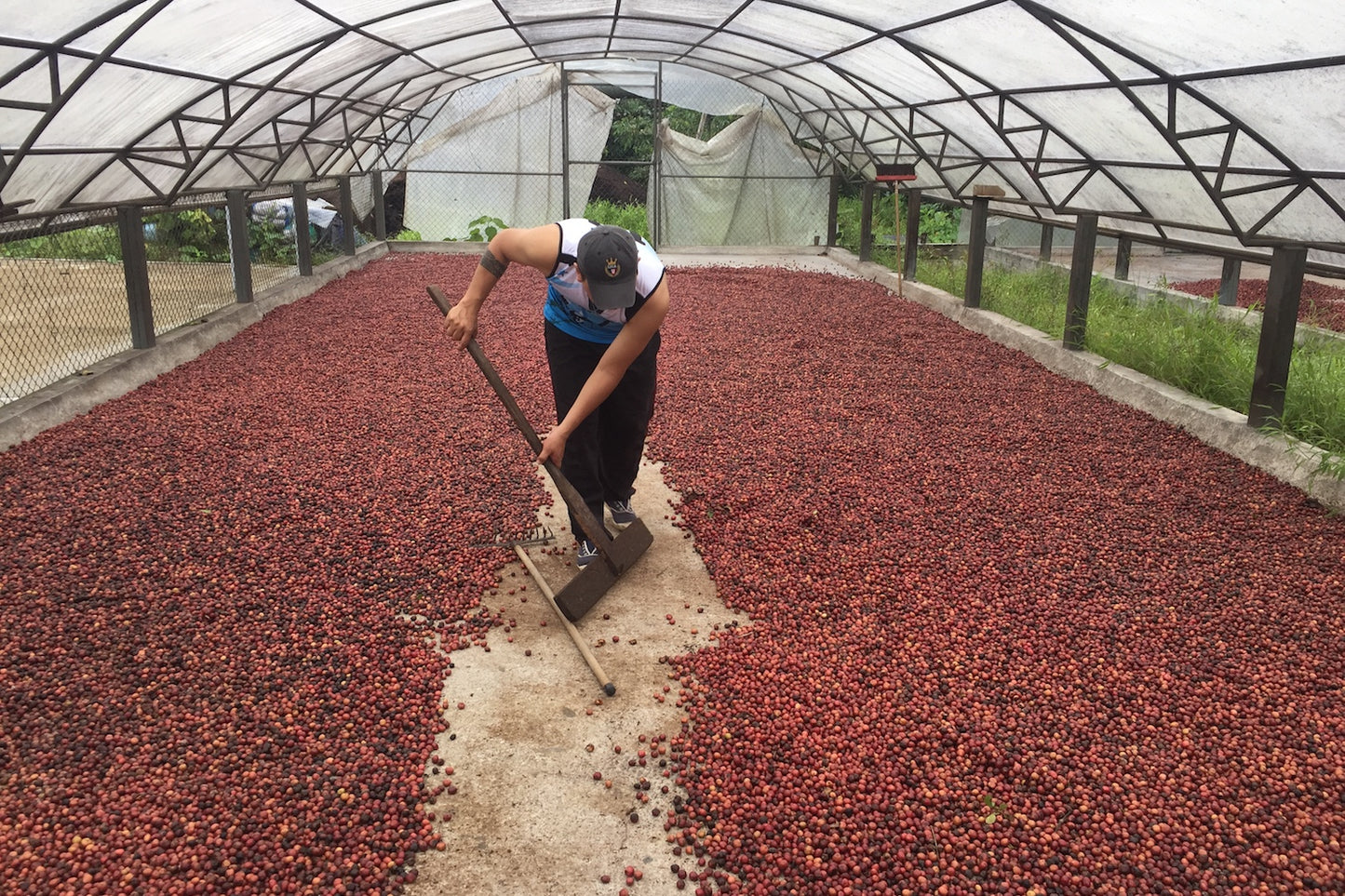 Ecuador, MasadiCoffee, Christian Saltos Morales