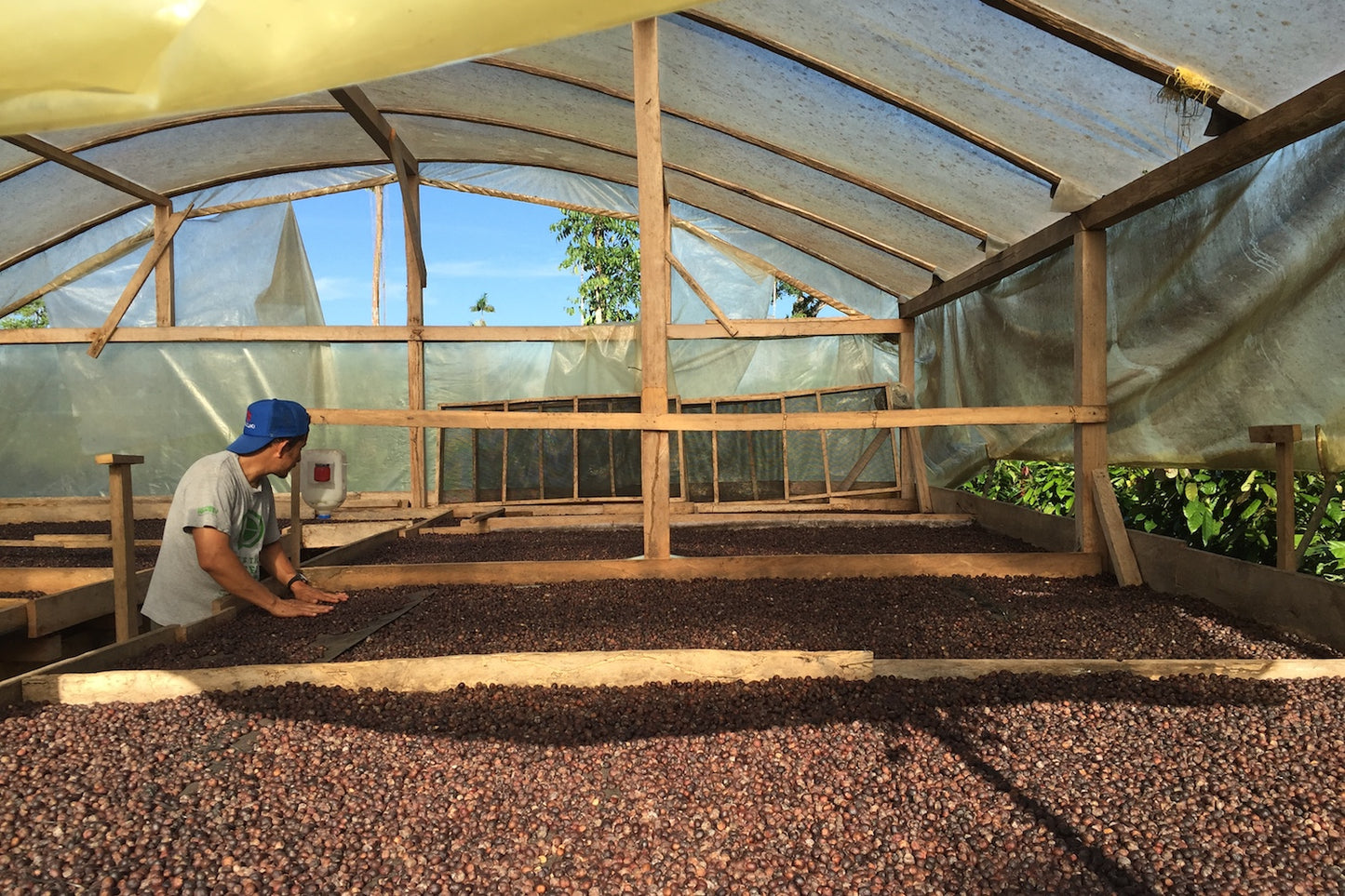Ecuador, MasadiCoffee, Christian Saltos Morales