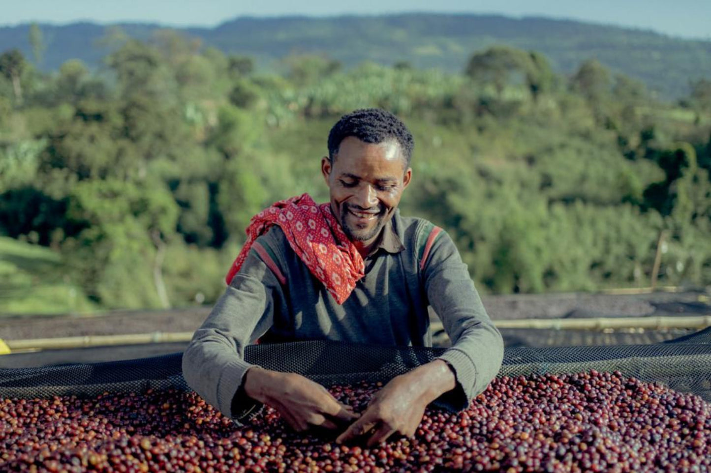 Äthiopien, Sidama, Ayla Bombe, BIO