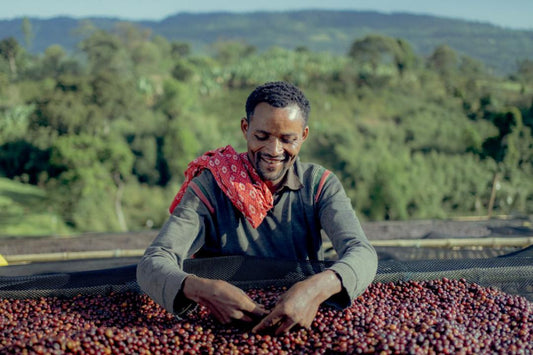 Äthiopien, Sidama, Ayla Bombe, BIO