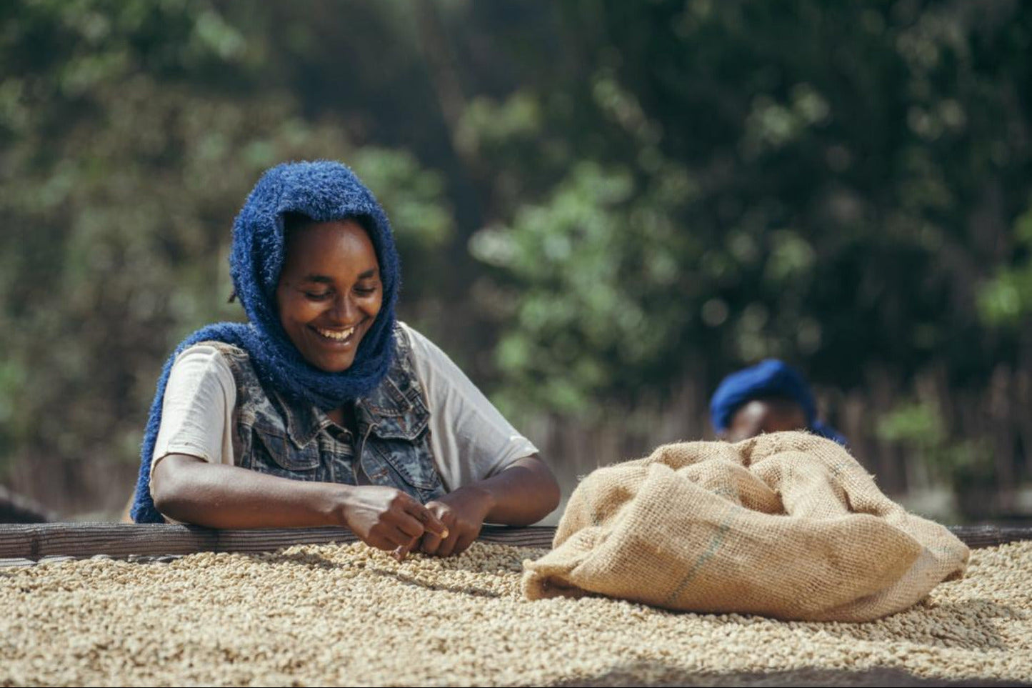 Äthiopien, Sidama, Ayla Bombe, BIO