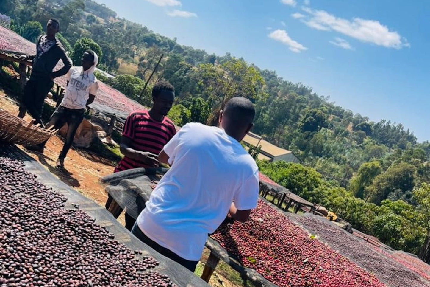 Äthiopien, Guji, Tullu Demtu