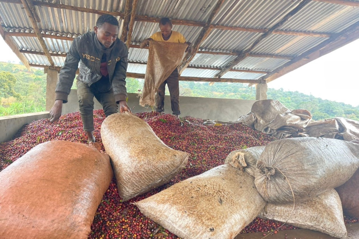 Äthiopien, Guji, Tullu Demtu