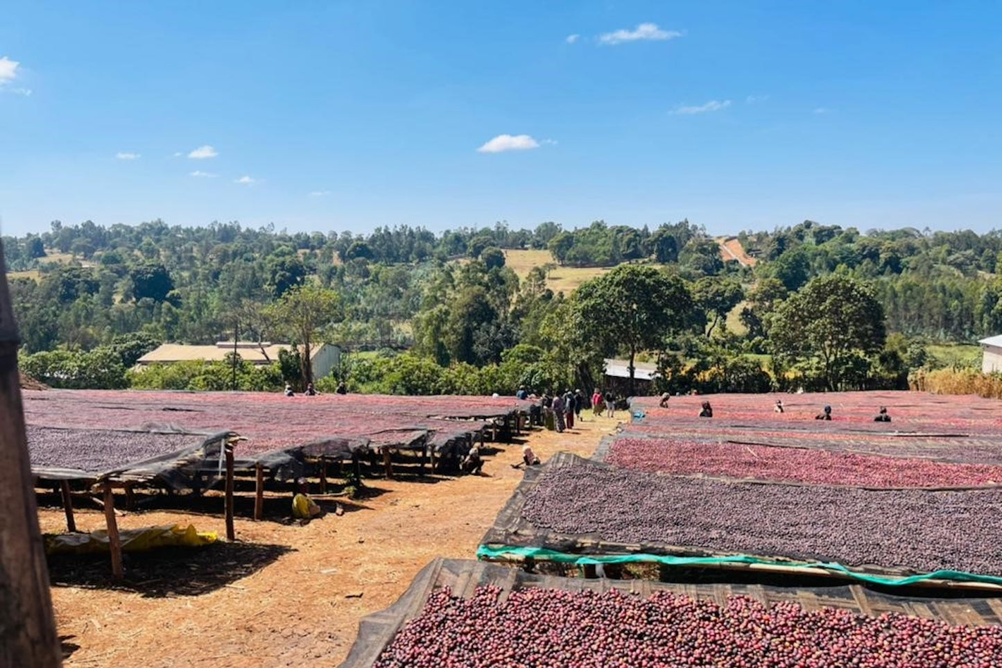 Äthiopien, Guji, Tullu Demtu