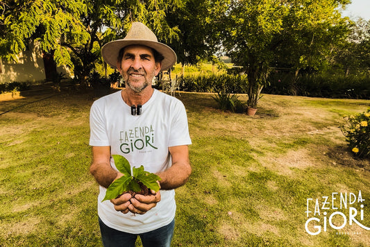 Brasilien, Fazenda Giori