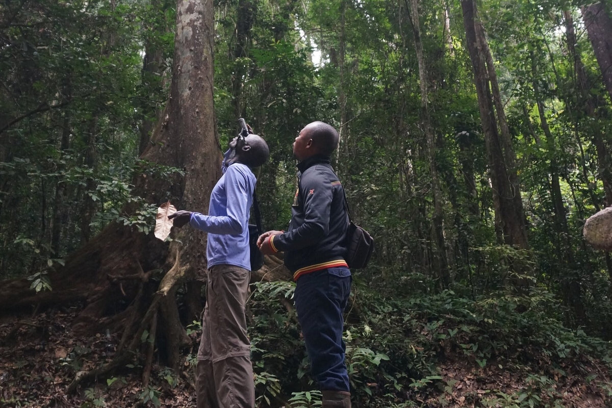 DR Congo, Lukula, Luki Mvuka