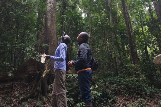 DR Congo, Lukula, Luki Mvuka