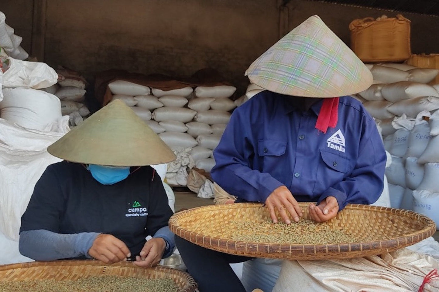 Vietnam, Siêu Sao, Tamba Coffee