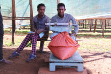Lade das Bild in den Galerie-Viewer, Äthiopien, Sidama, Buriso Amaje
