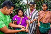 Lade das Bild in den Galerie-Viewer, Peru, Cepro Yanesha
